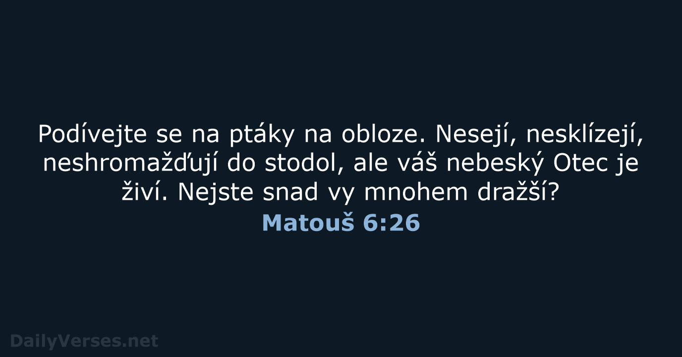 Matouš 6:26 - B21