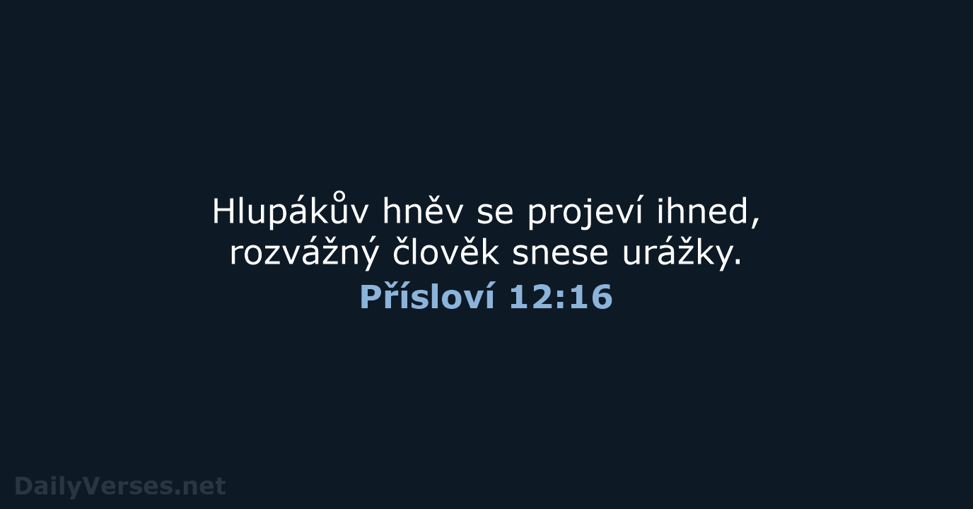 Přísloví 12:16 - B21