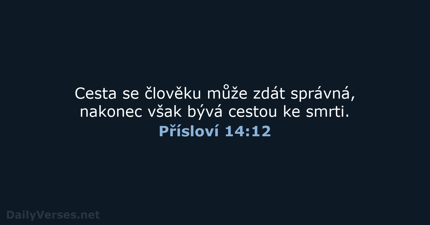 Přísloví 14:12 - B21