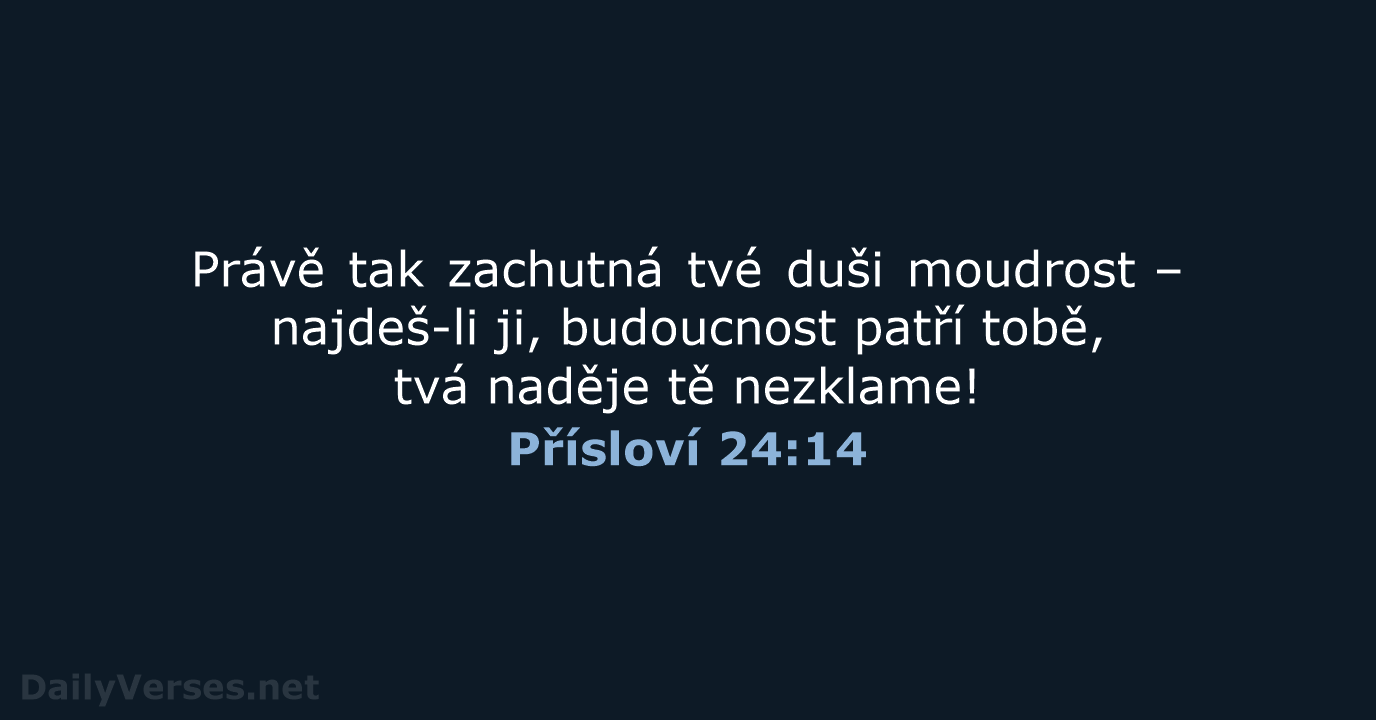 Přísloví 24:14 - B21