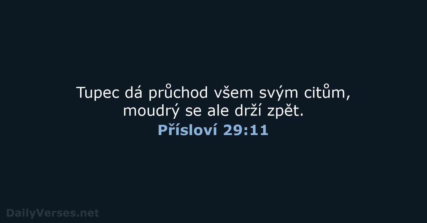 Přísloví 29:11 - B21