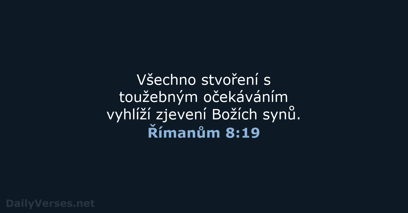 Římanům 8:19 - B21