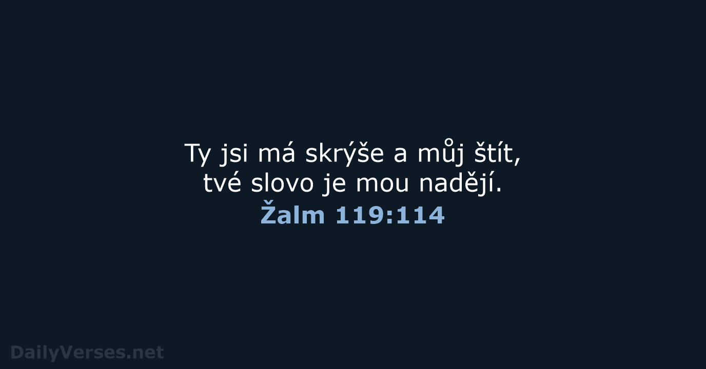 Žalm 119:114 - B21