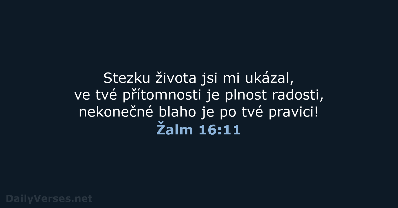Žalm 16:11 - B21