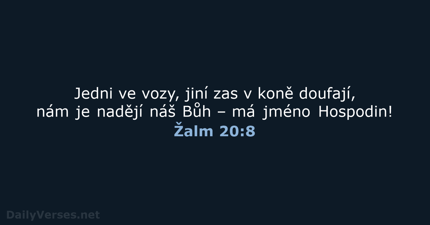 Žalm 20:8 - B21