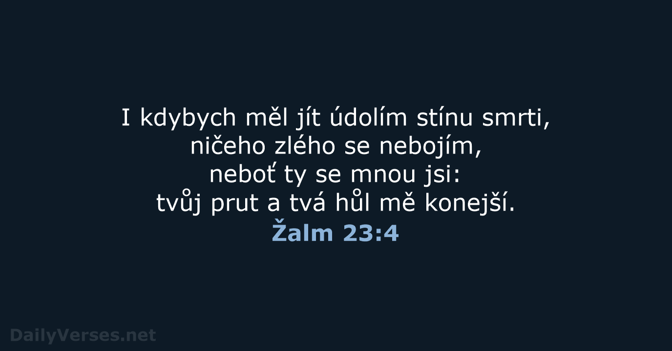 Žalm 23:4 - B21