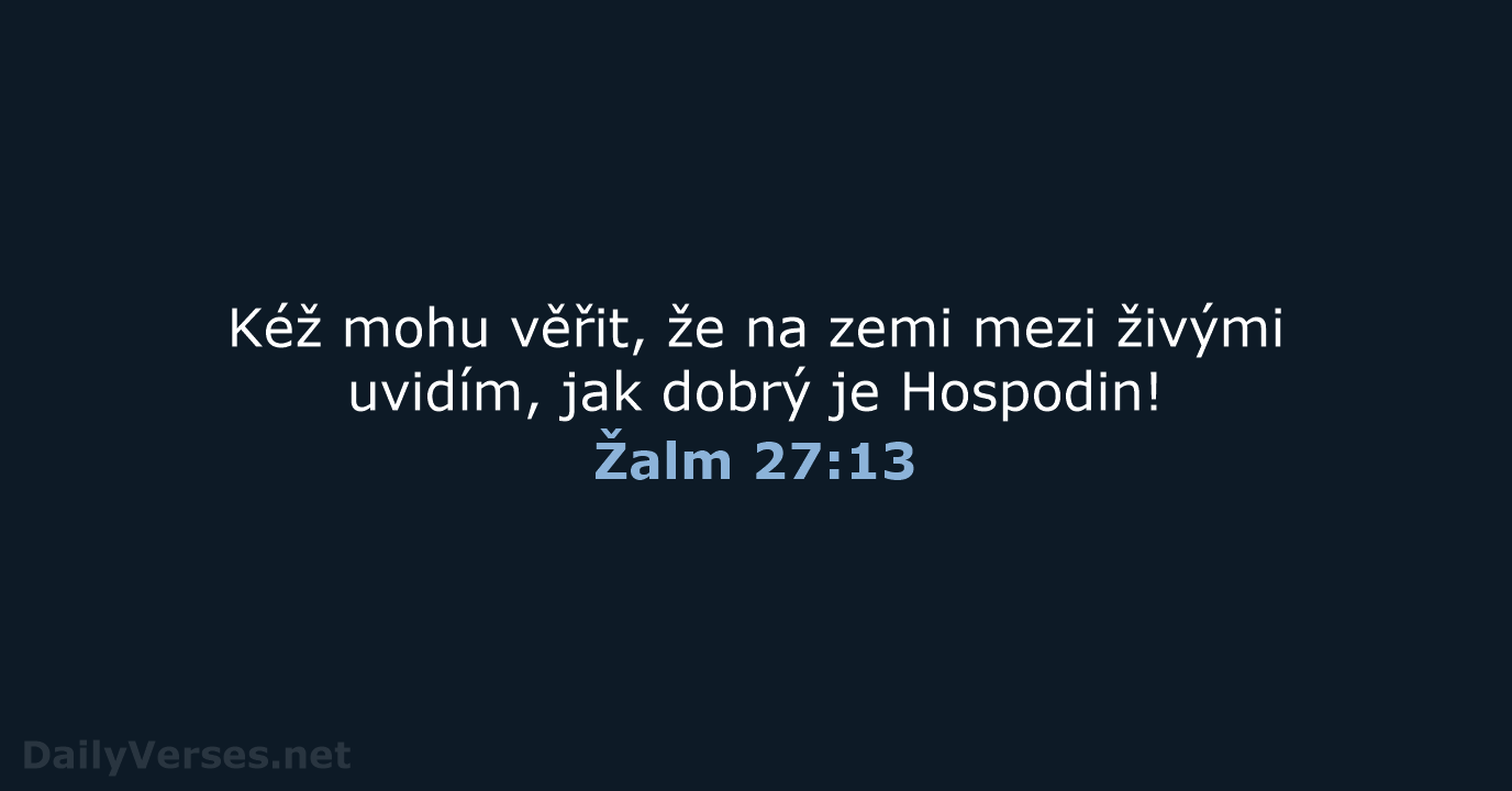 Žalm 27:13 - B21