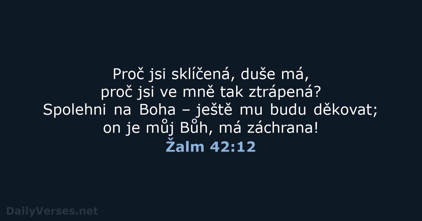 Žalm 42:12 - B21