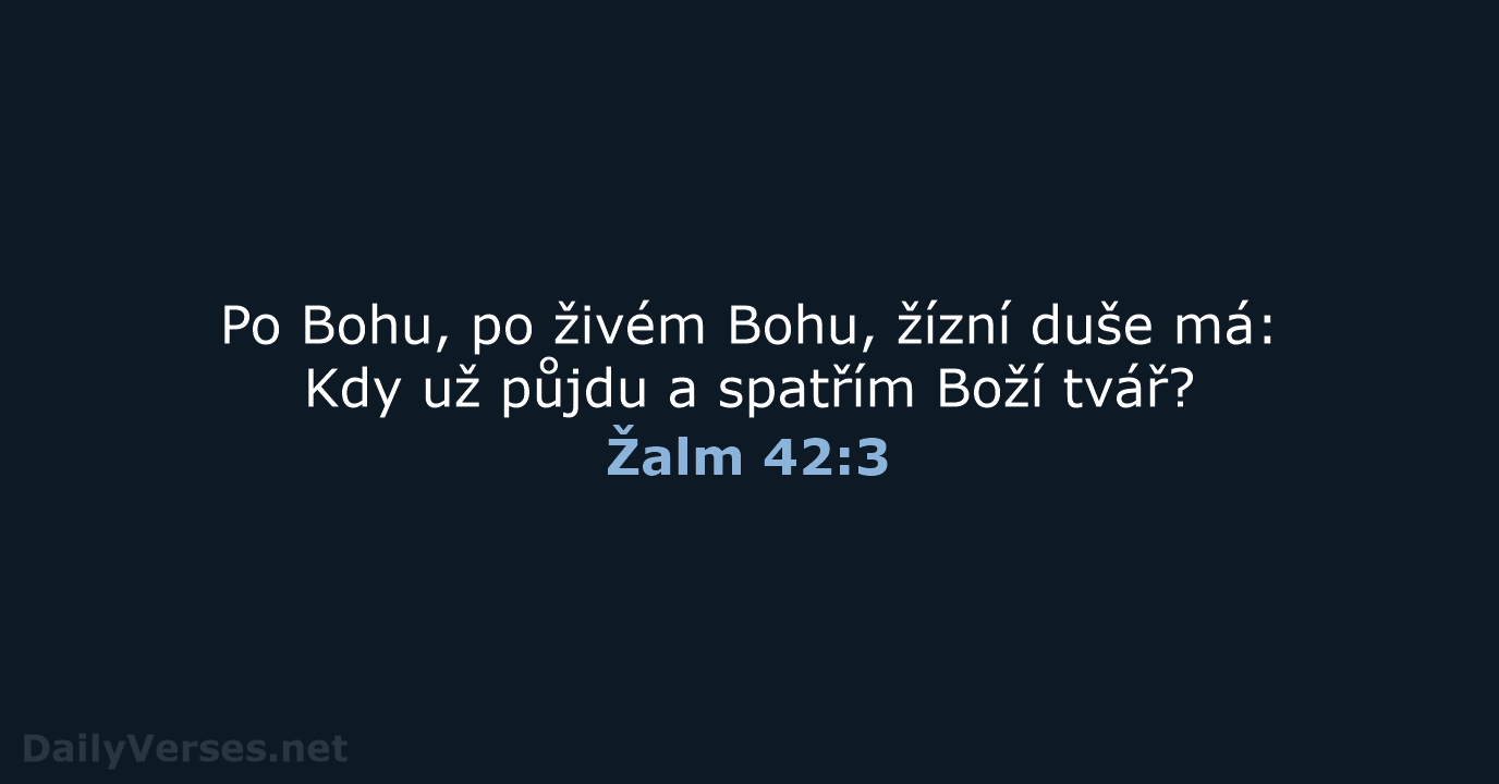Žalm 42:3 - B21