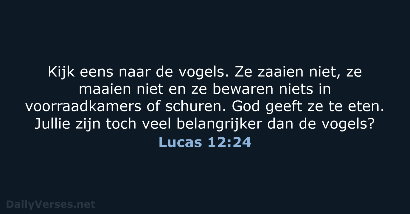 Lucas 12:24 - BB