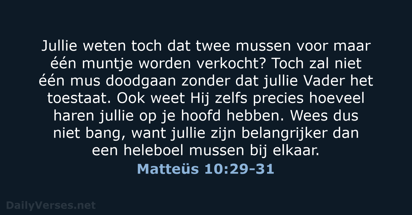 Matteüs 10:29-31 - BB