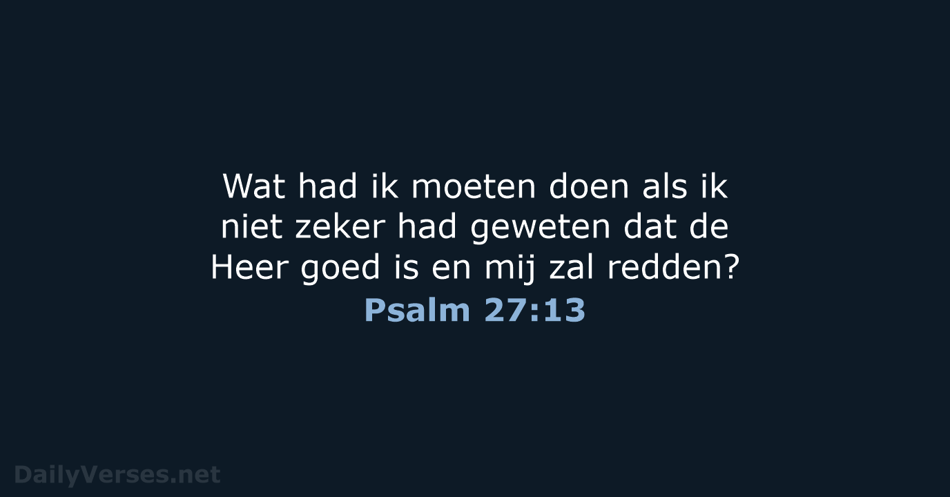 Psalm 27:13 - BB