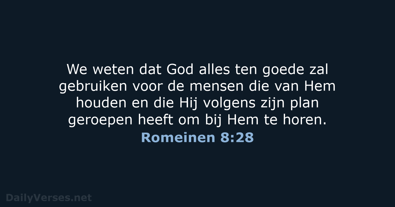 Romeinen 8:28 - BB