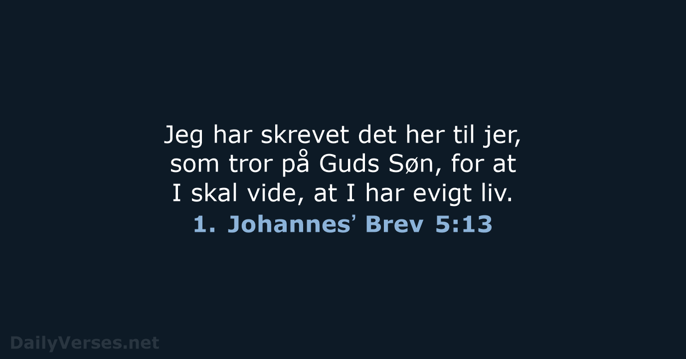 1. Johannesʼ Brev 5:13 - BDAN
