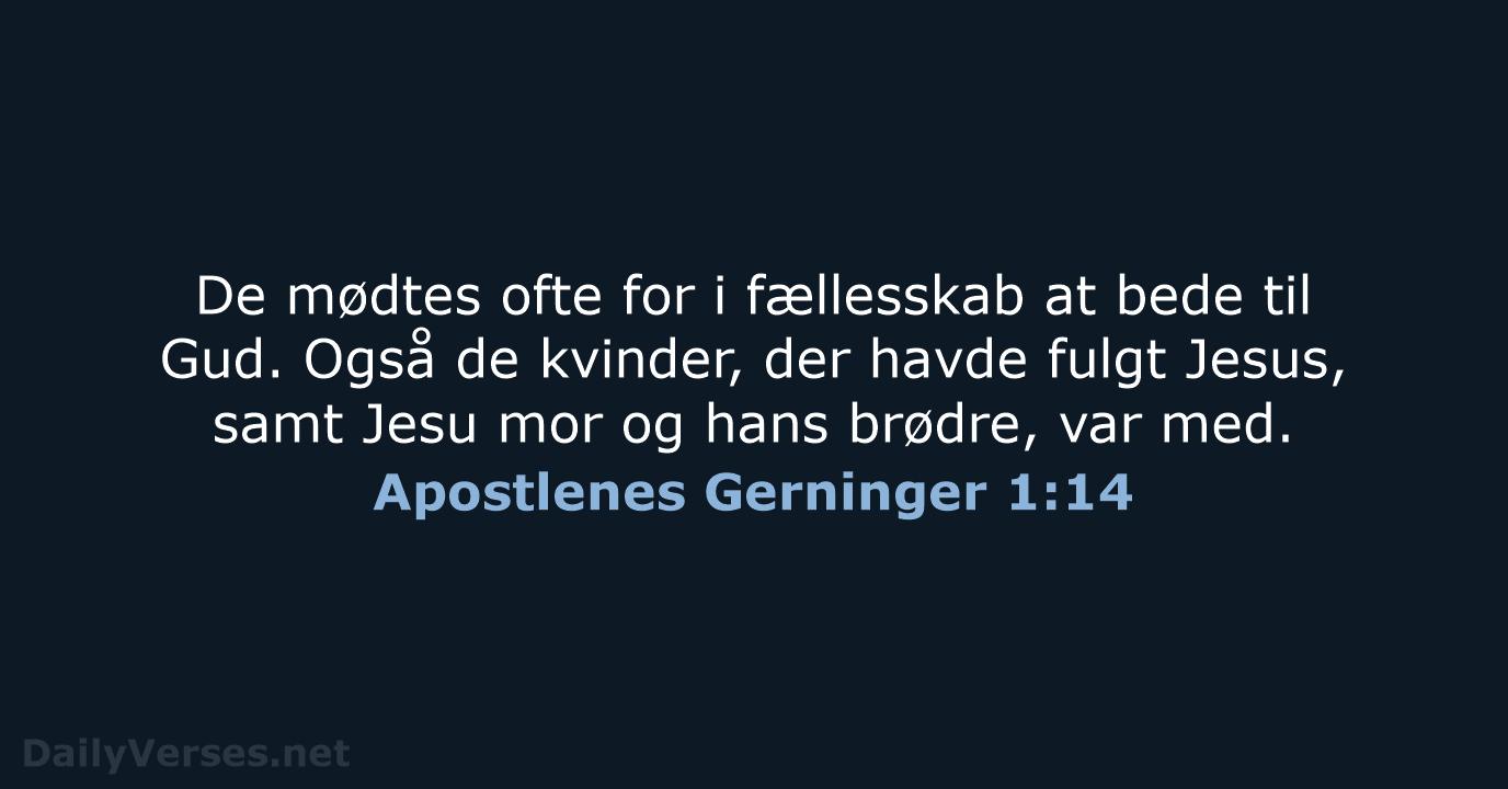 Apostlenes Gerninger 1:14 - BDAN