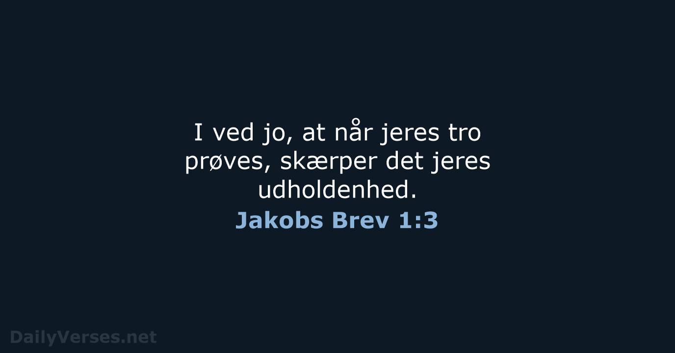 Jakobs Brev 1:3 - BDAN