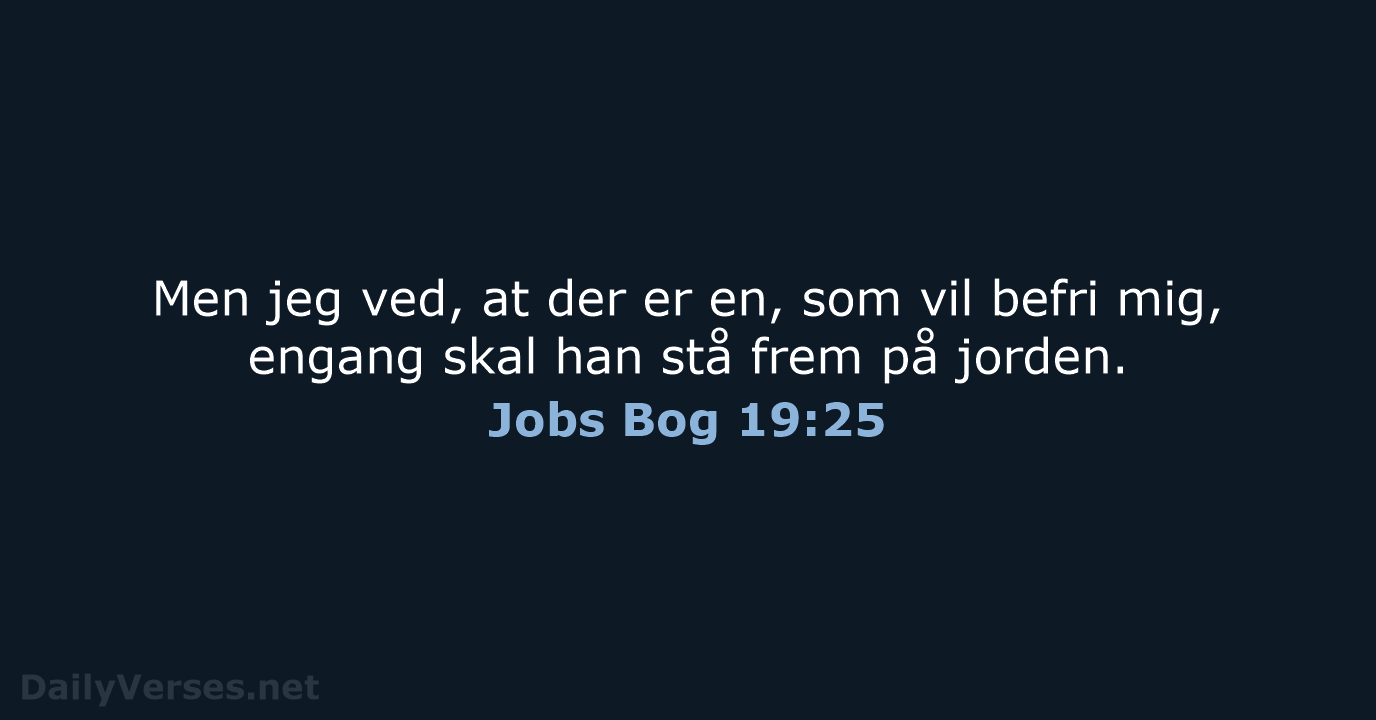 Jobs Bog 19:25 - BDAN