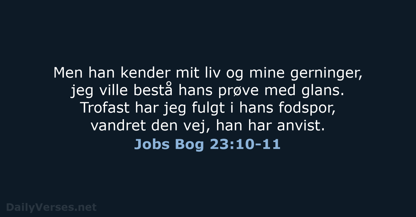 Jobs Bog 23:10-11 - BDAN