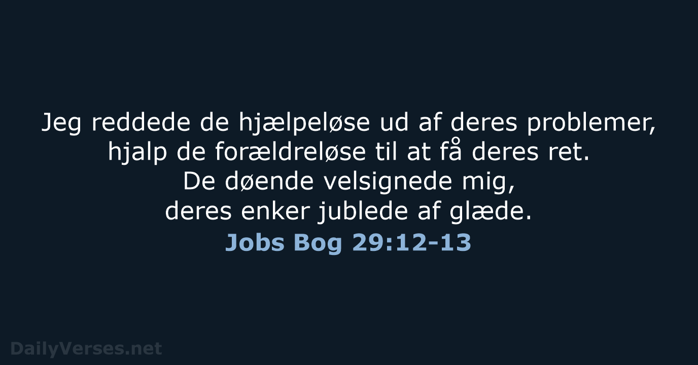 Jobs Bog 29:12-13 - BDAN