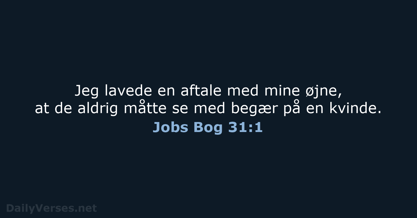 Jobs Bog 31:1 - BDAN