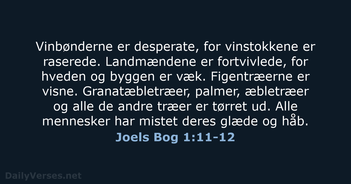 Joels Bog 1:11-12 - BDAN