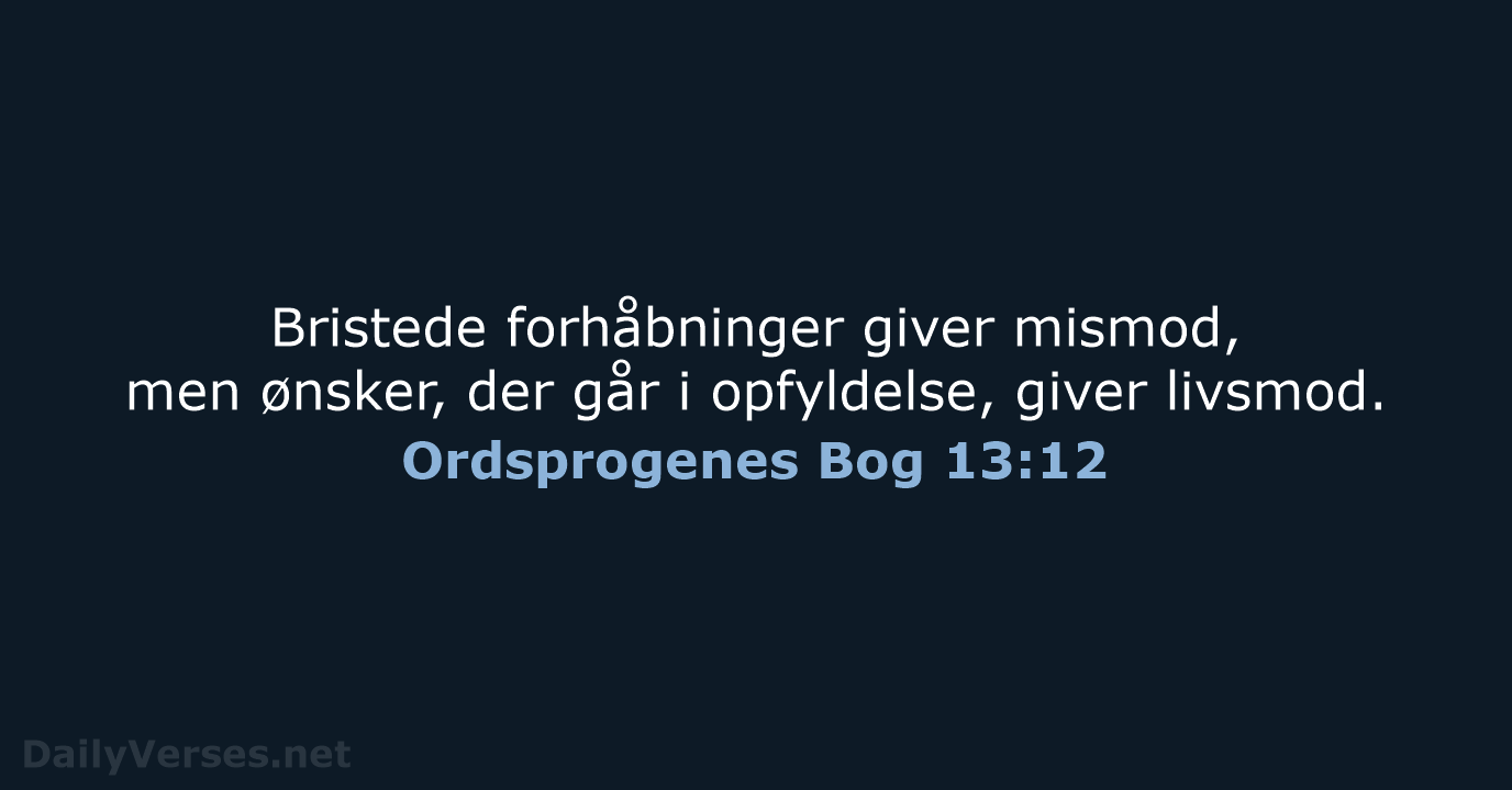 Ordsprogenes Bog 13:12 - BDAN