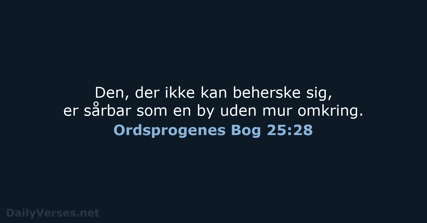 Ordsprogenes Bog 25:28 - BDAN