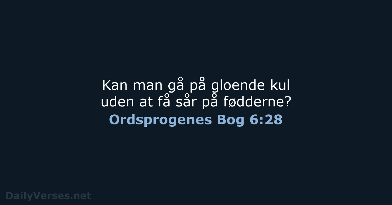 Ordsprogenes Bog 6:28 - BDAN