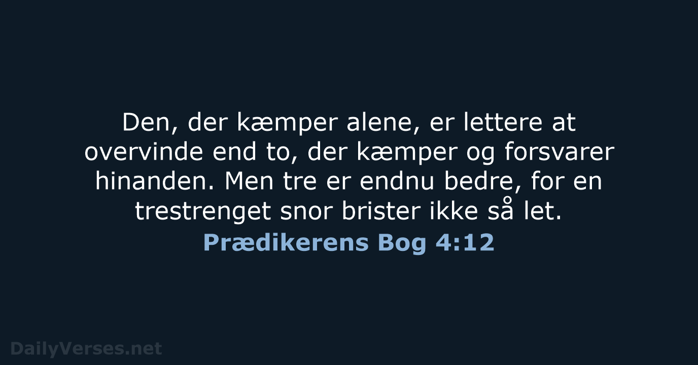Prædikerens Bog 4:12 - BDAN
