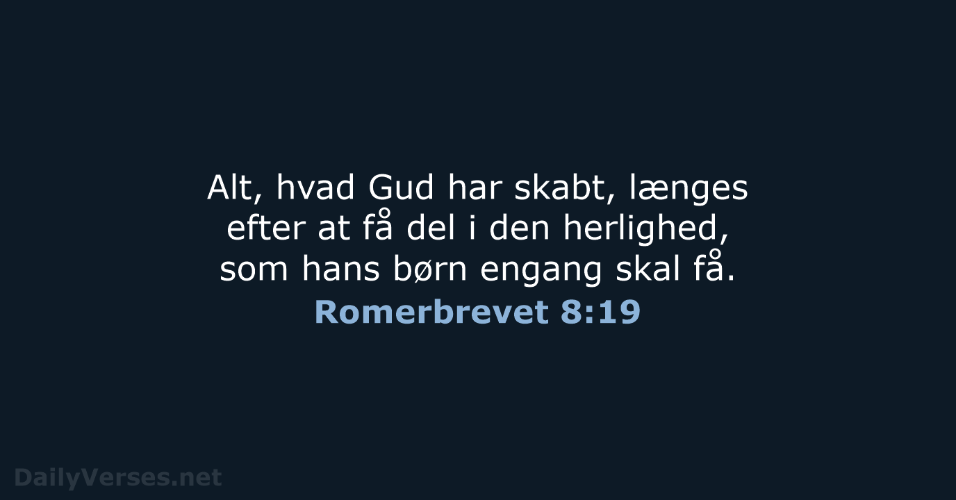 Romerbrevet 8:19 - BDAN