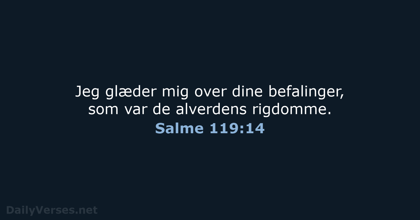 Salme 119:14 - BDAN