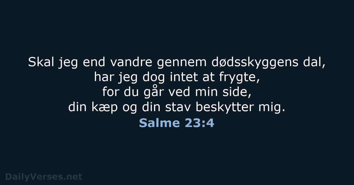 Salme 23:4 - BDAN