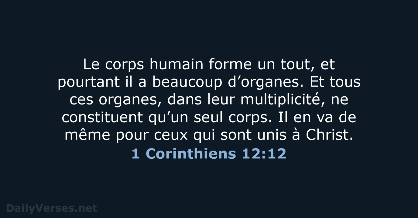 Le corps humain forme un tout, et pourtant il a beaucoup d’organes… 1 Corinthiens 12:12