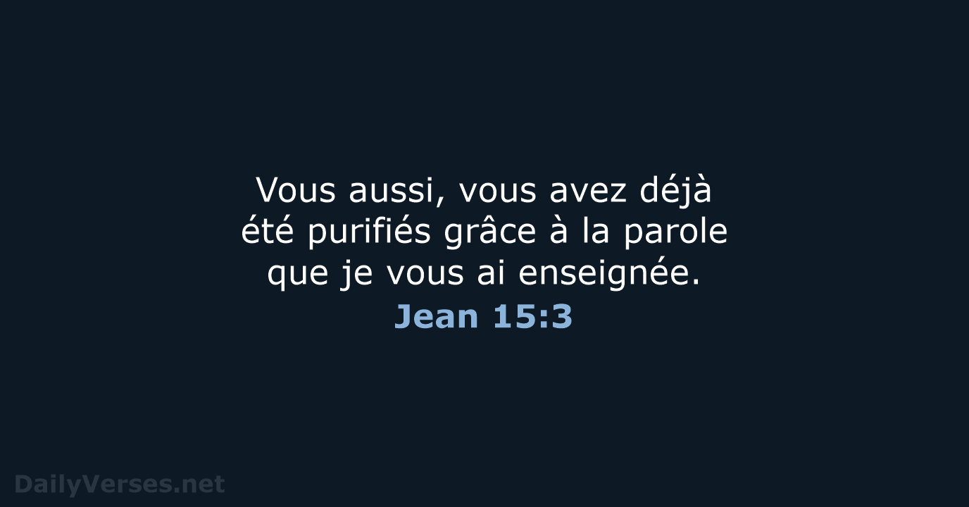 Jean 15:3 - BDS