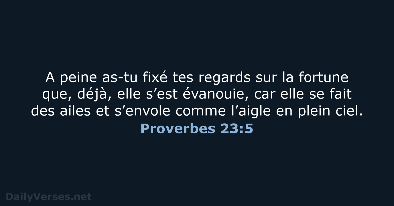 Proverbes 23:5 - BDS