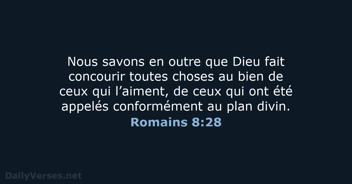 Romains 8:28 - BDS