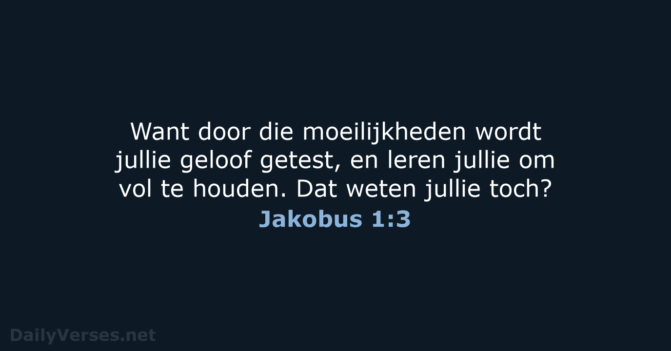 Jakobus 1:3 - BGT