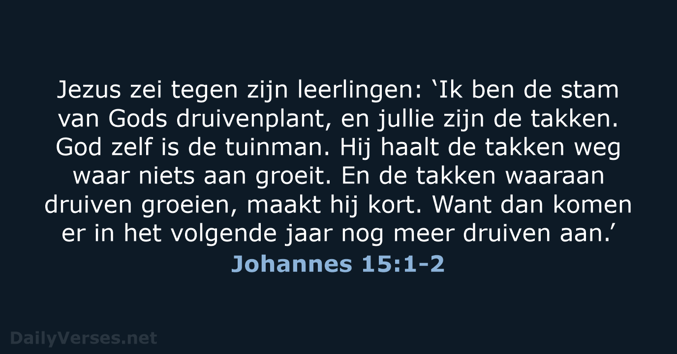 Jezus zei tegen zijn leerlingen: ‘Ik ben de stam van Gods druivenplant… Johannes 15:1-2