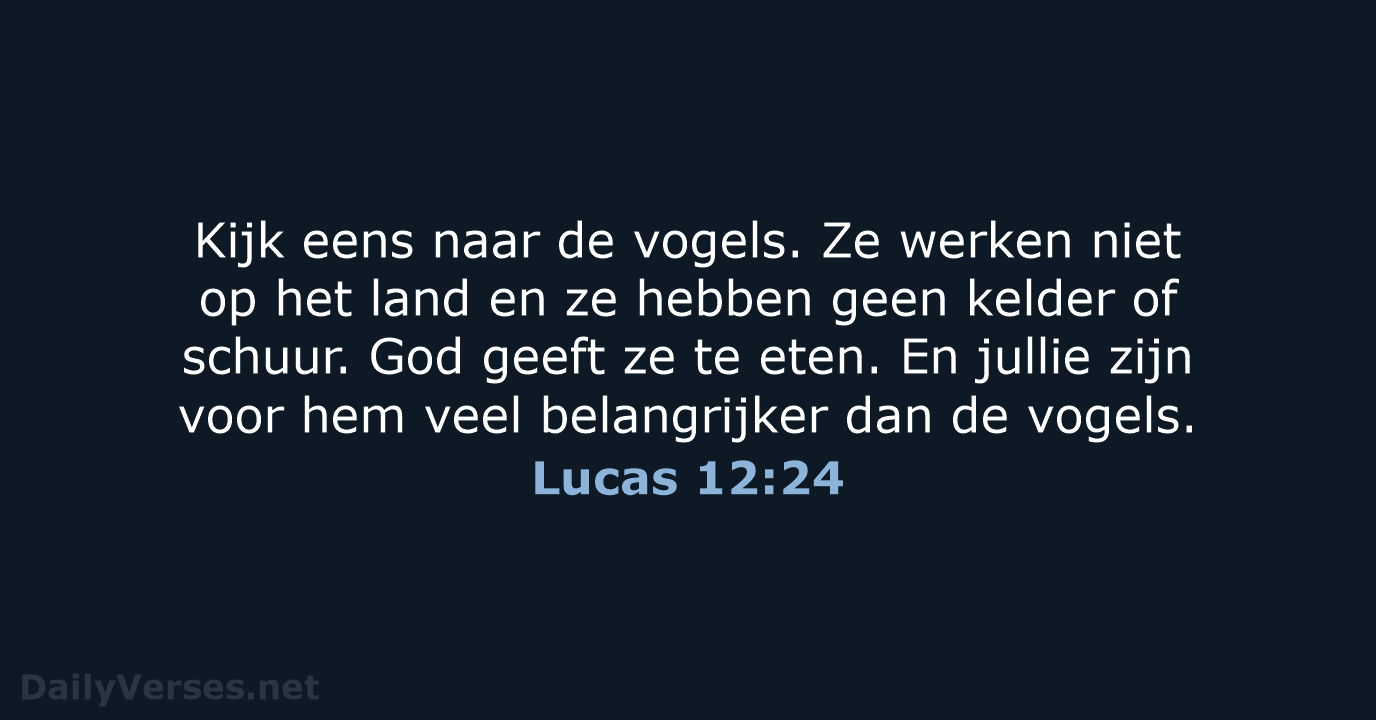 Lucas 12:24 - BGT