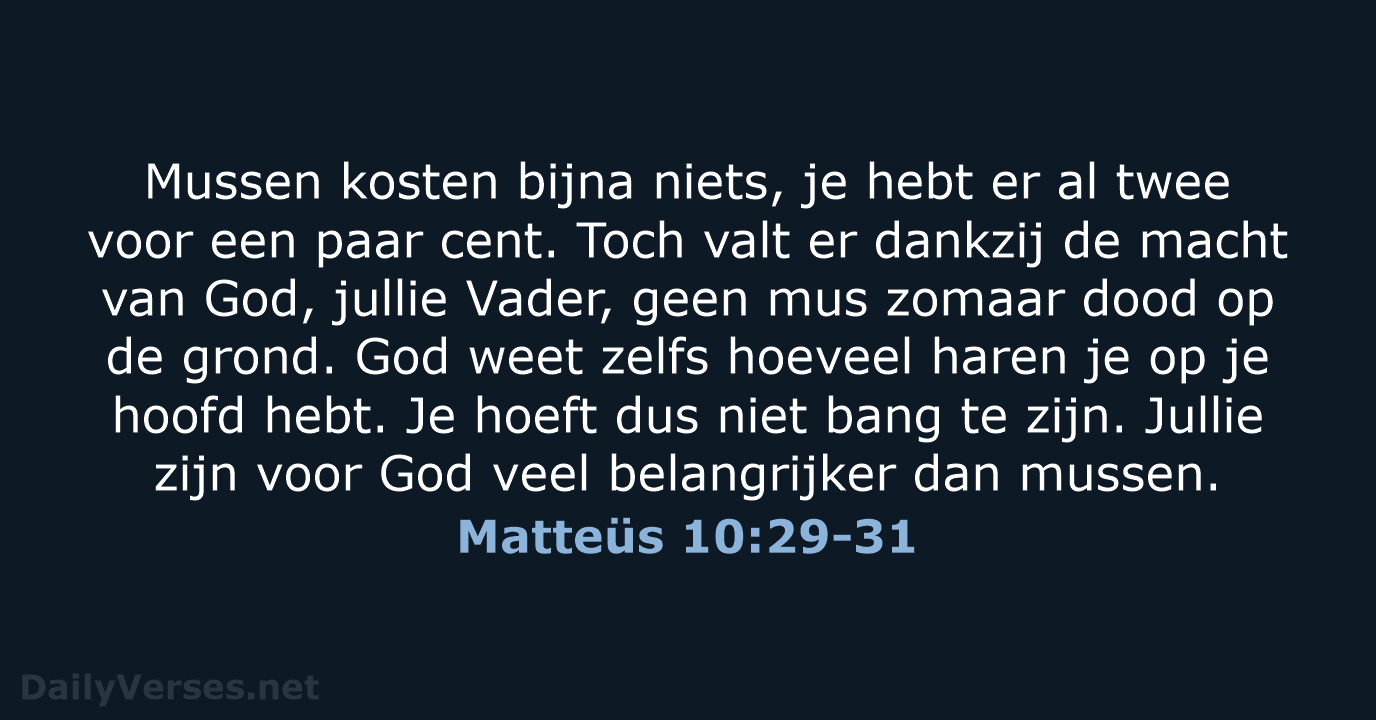Matteüs 10:29-31 - BGT