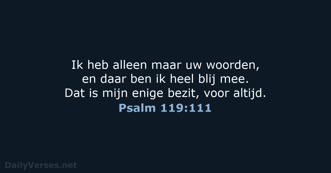 Ik heb alleen maar uw woorden, en daar ben ik heel blij… Psalm 119:111