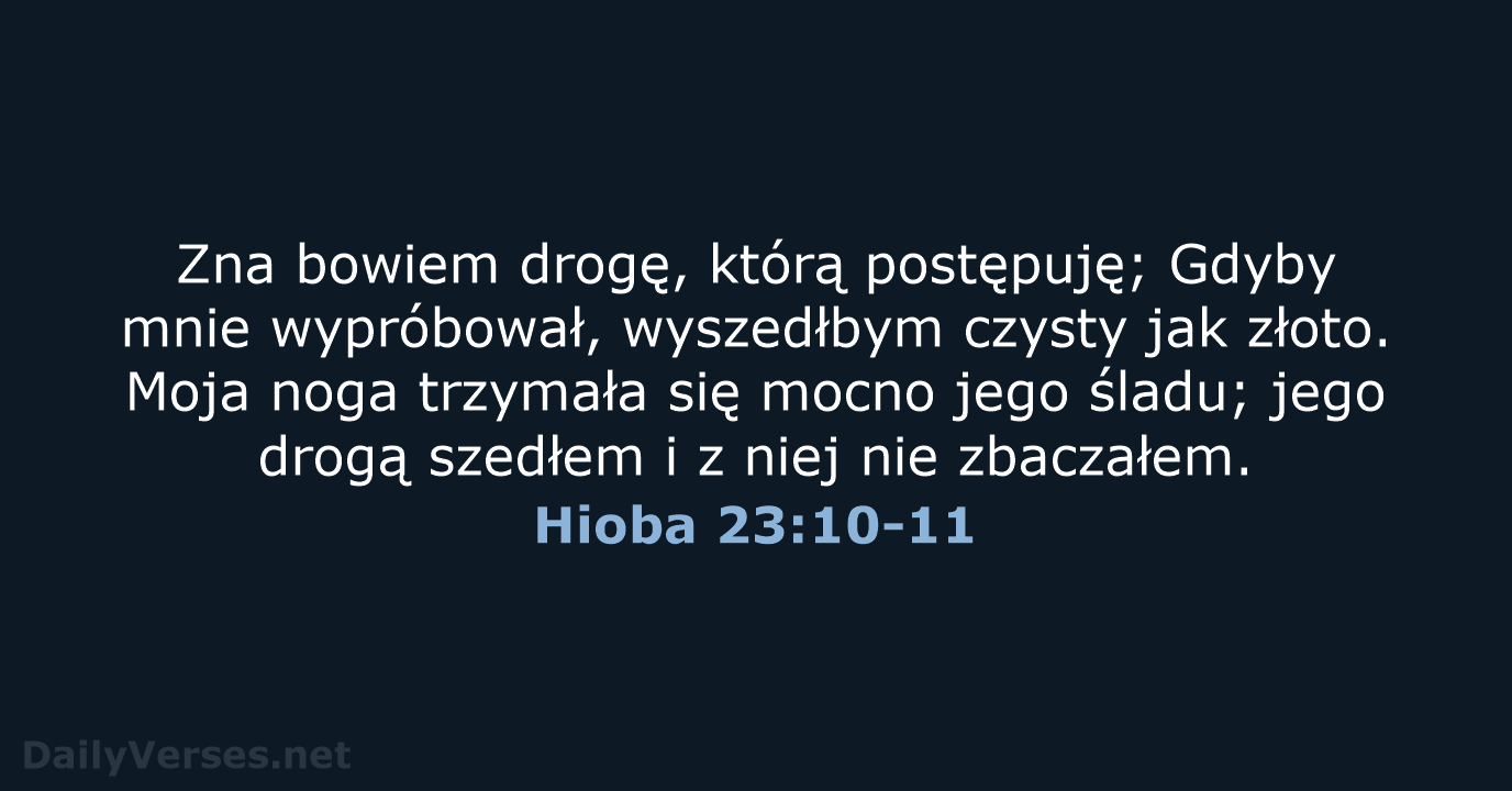 Zna bowiem drogę, którą postępuję; Gdyby mnie wypróbował, wyszedłbym czysty jak złoto… Hioba 23:10-11