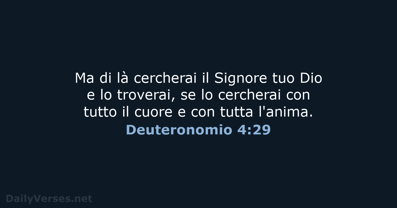 Deuteronomio 4:29 - CEI