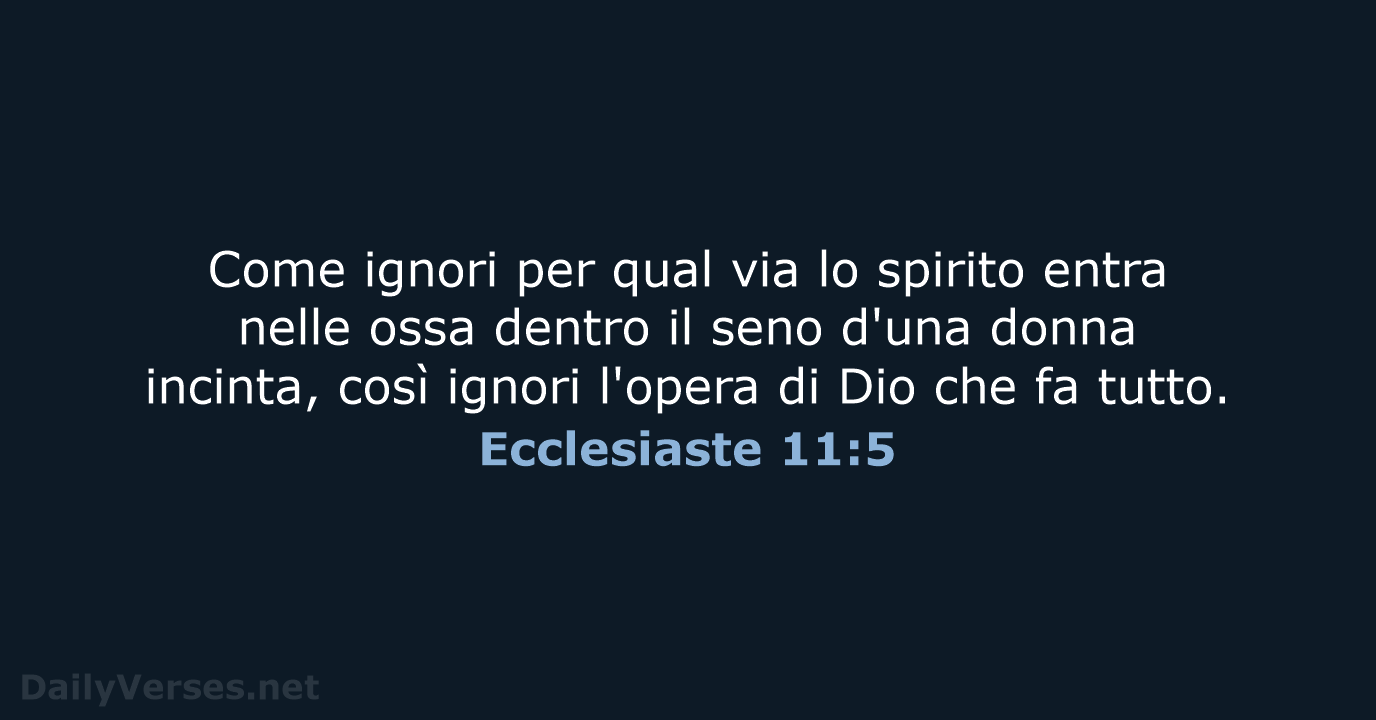 Ecclesiaste 11:5 - CEI