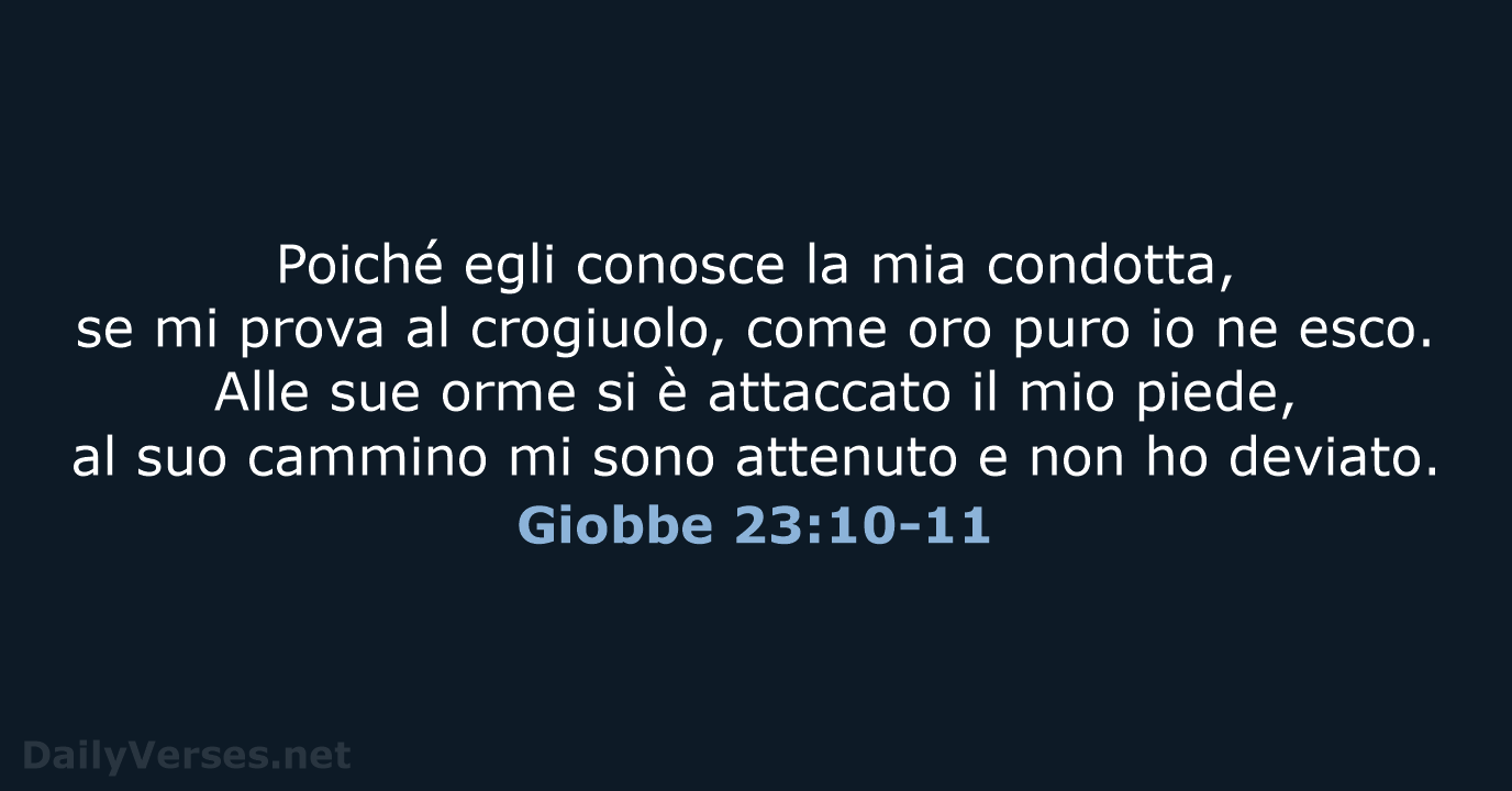 Giobbe 23:10-11 - CEI