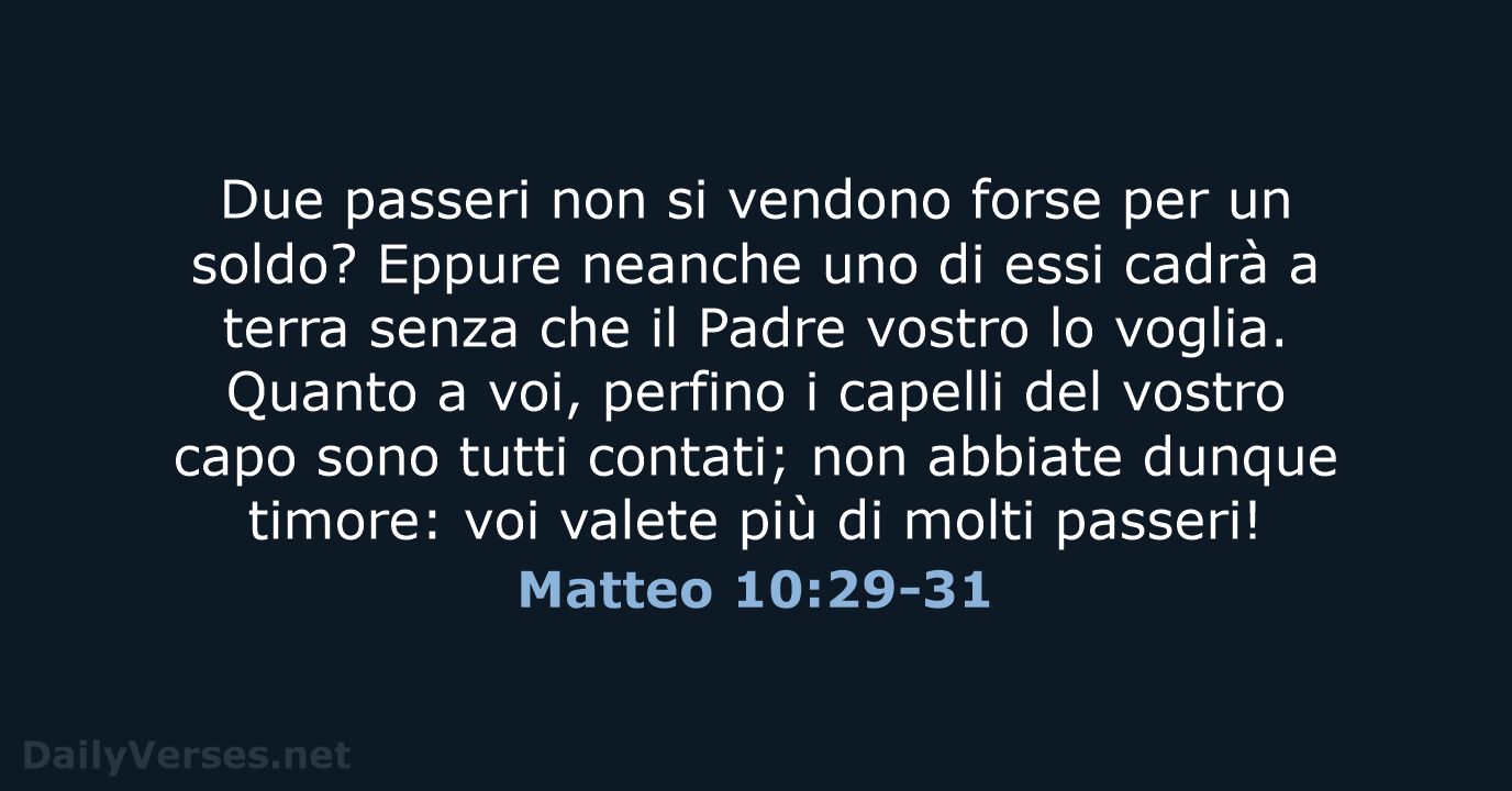 Matteo 10:29-31 - CEI