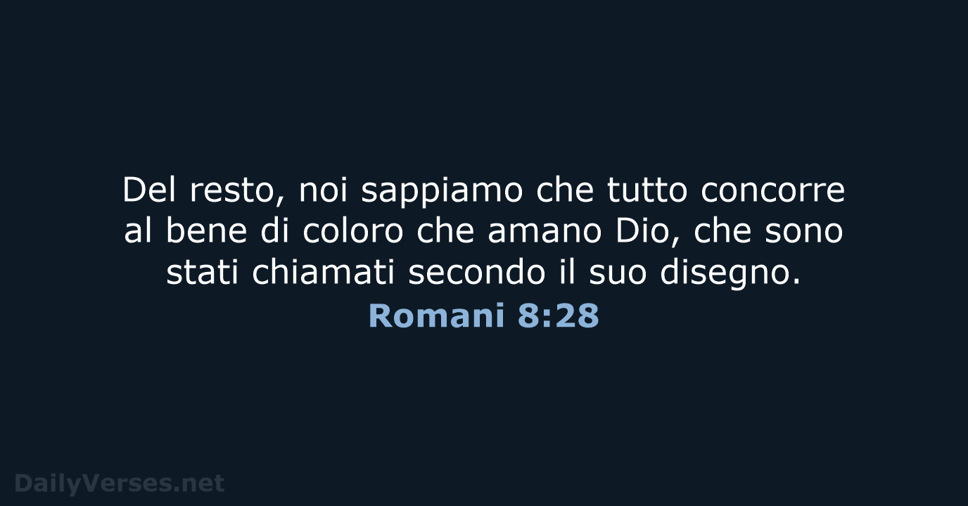 Romani 8:28 - CEI