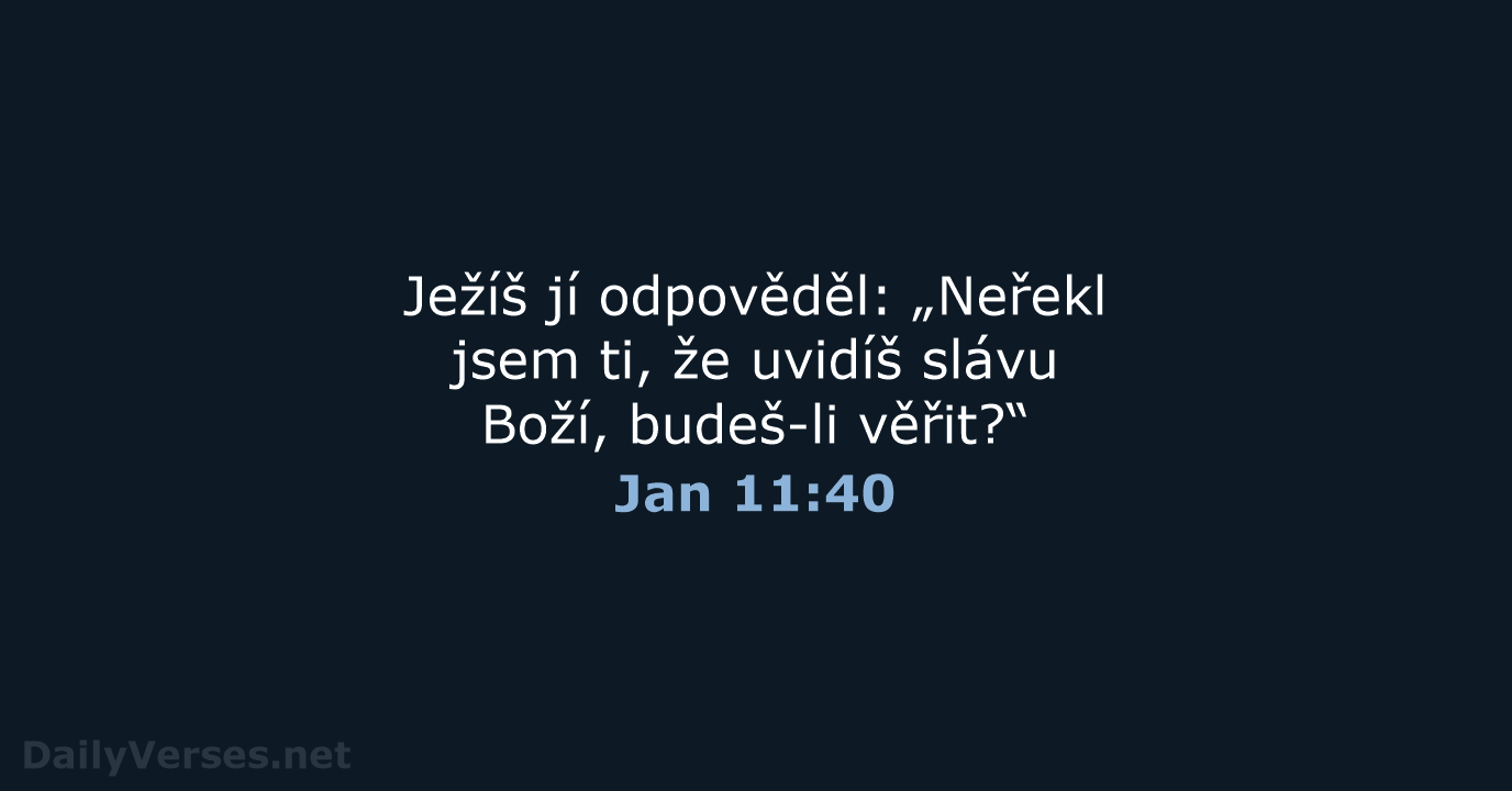 Jan 11:40 - ČEP