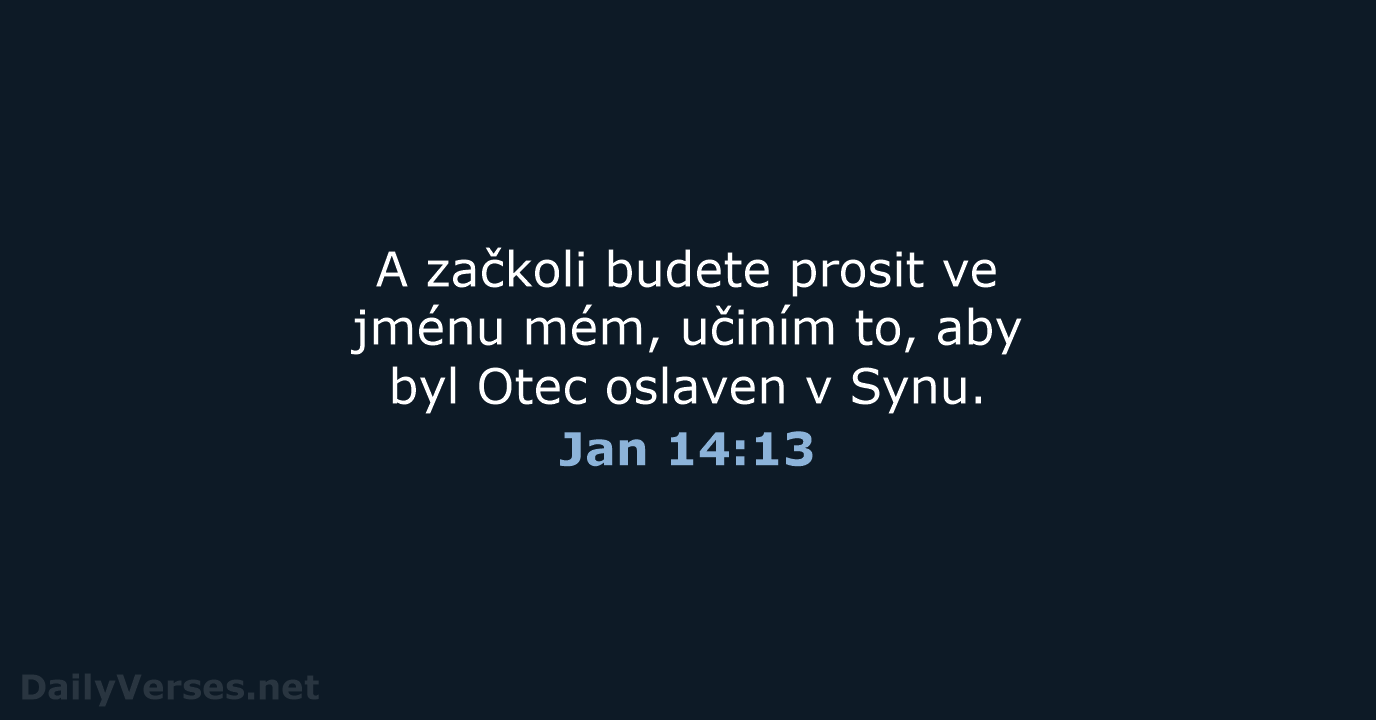 Jan 14:13 - ČEP