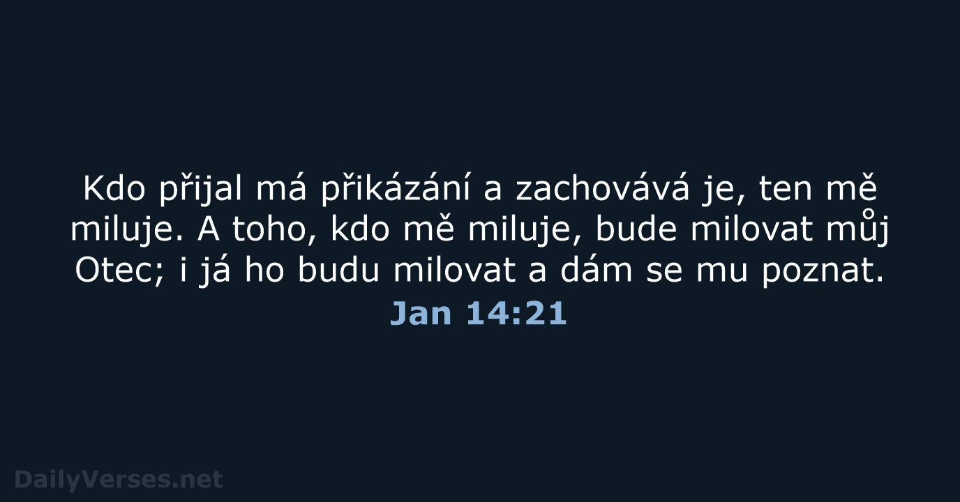 Jan 14:21 - ČEP